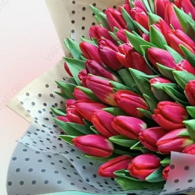 Тюльпан червоний поштучно